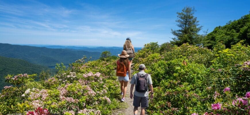 Family,Hiking,On,Summer,Vacation,Trip.,People,With,Backpacks,Hiking